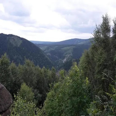 Pleasant In Amid Forest Lejlighed Wildemann