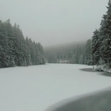 Wald-ferienwohnung In 公寓 *