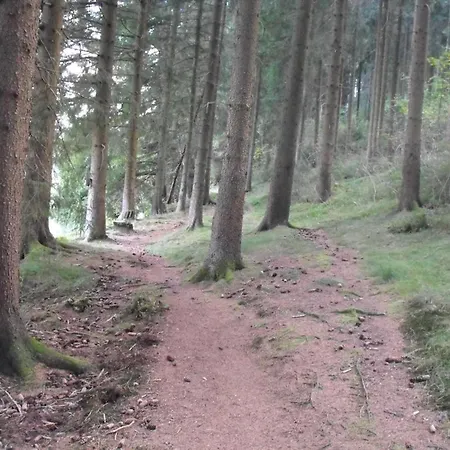 Wald-ferienwohnung In Вильдеманн