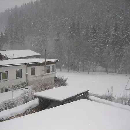 Wald-ferienwohnung In Daire Wildemann