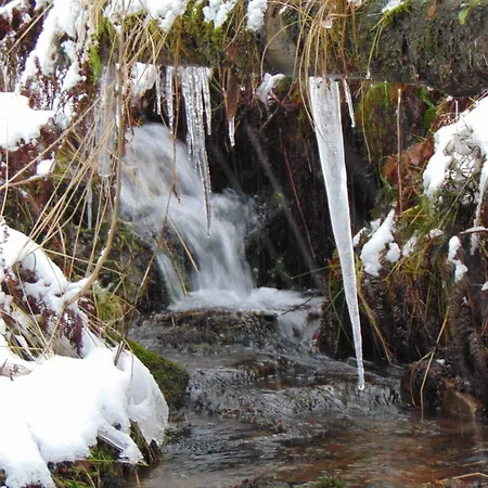 Wald-ferienwohnung In