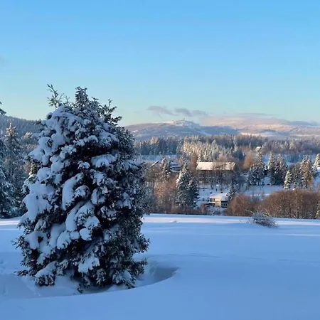 Wald-ferienwohnung In * 维尔德曼