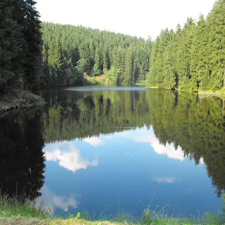 Wald-ferienwohnung In Daire