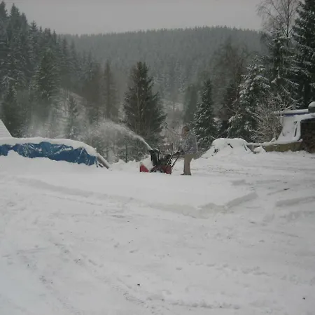 Lejlighed Pleasant In Amid Forest