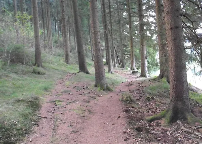 Wald-ferienwohnung In Διαμέρισμα Wildemann