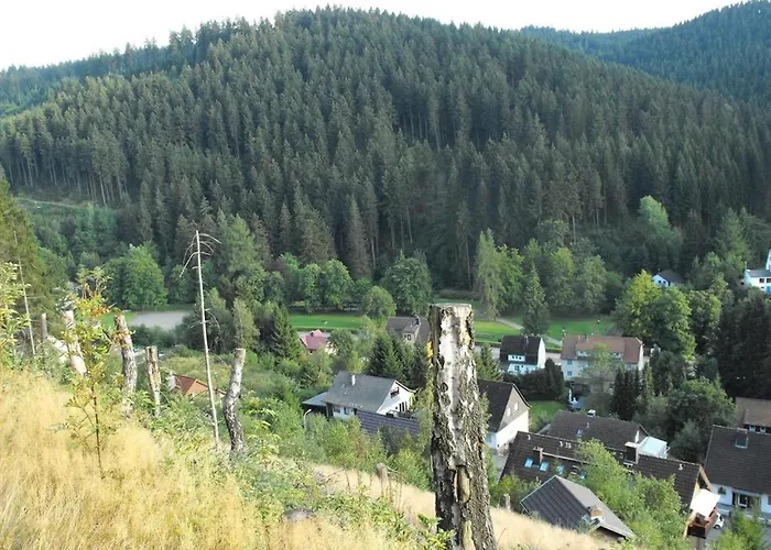 Wald-ferienwohnung In