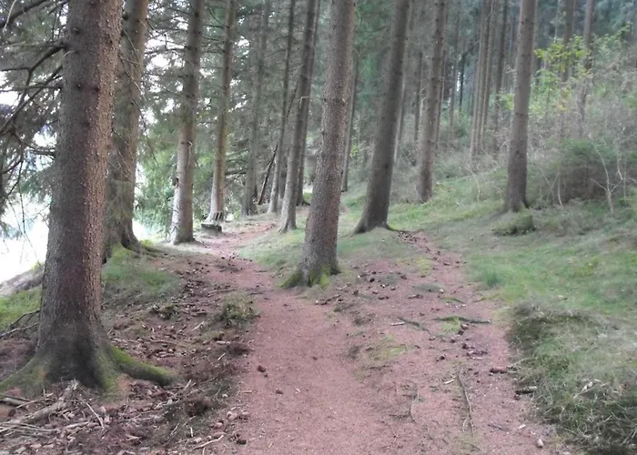 Wald-ferienwohnung In Wildemann
