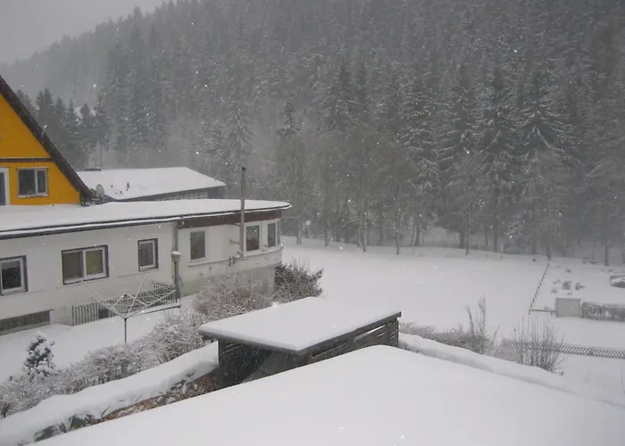 Wald-ferienwohnung In Διαμέρισμα Wildemann