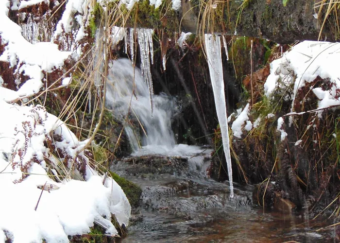 Wald-ferienwohnung In