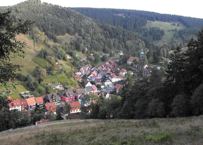 Wald-ferienwohnung In Διαμέρισμα Wildemann