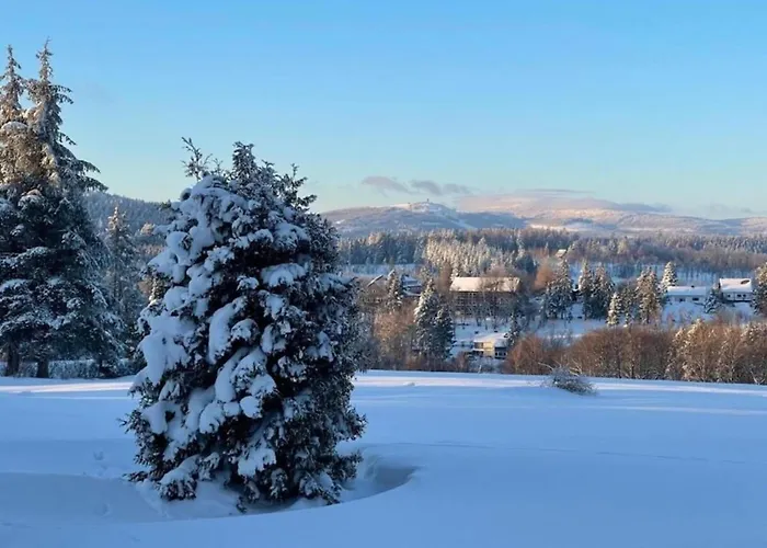 Wald-ferienwohnung In * Wildemann