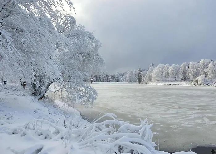 Wald-ferienwohnung In