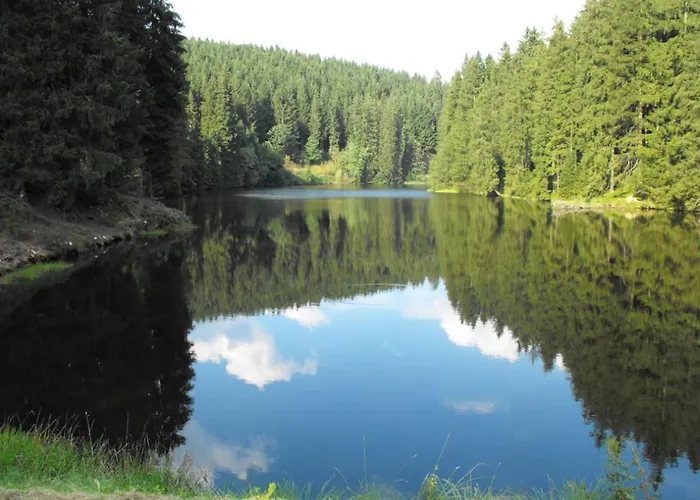 Wald-ferienwohnung In Διαμέρισμα