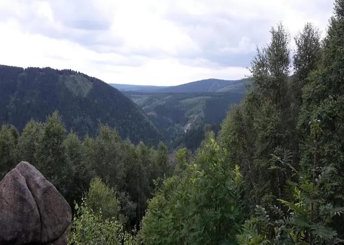 Wald-ferienwohnung In *